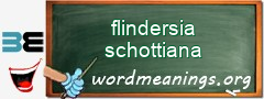 WordMeaning blackboard for flindersia schottiana